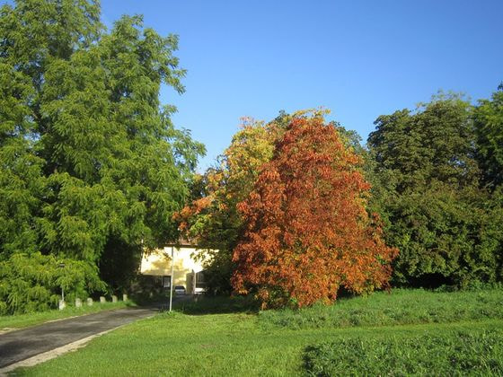 Herbst 2017                               